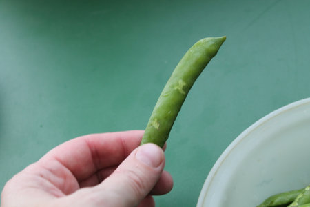 Young fresh the green peas