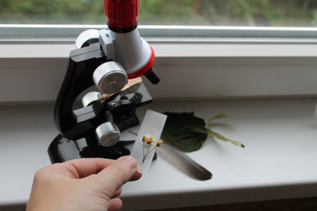 Microscope for taking biological samplesの写真素材