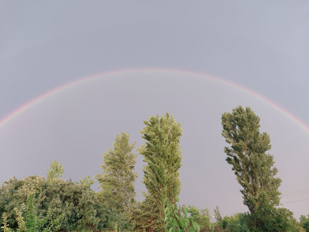 Full rainbow after rain against the skyの写真素材