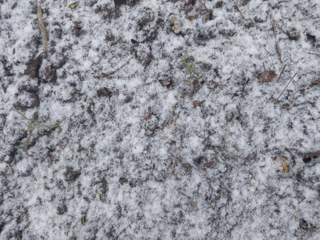 Texture of fallen snow on the objectsの写真素材