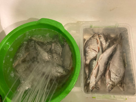 Drying salted fish for the jerky