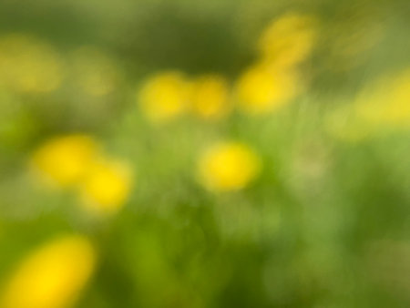 Spring flowers bloomed in a gardenの写真素材