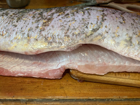 Cutting freshwater predatory fish the pike