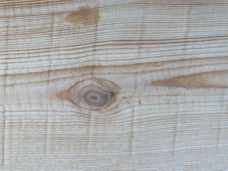 Pine board pattern the texture