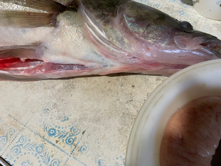 A collection of high-quality images showing the filling and preparation of fresh zander fish.