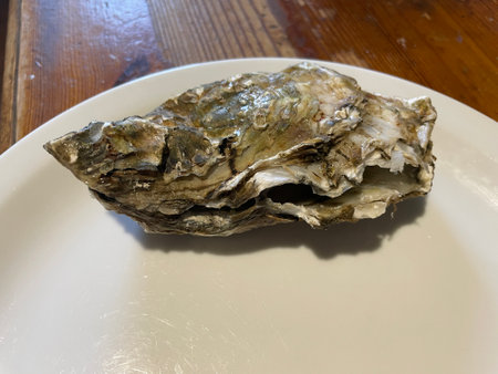 Fresh raw oysters served on crushed ice, often accompanied by lemon wedges, herbs, or dipping...