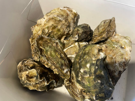 Fresh raw oysters served on crushed ice, often accompanied by lemon wedges, herbs, or dipping sauces.の写真素材