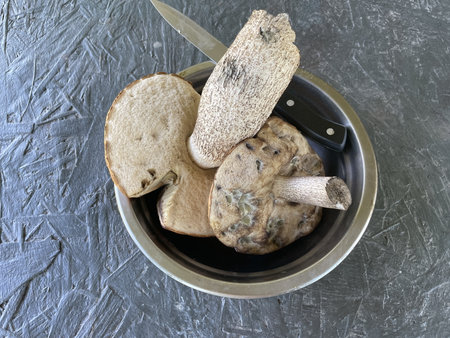 A large orange-cap boletus mushroom, leccinum aurantiacum, freshly discovered in the wild forest.の写真素材