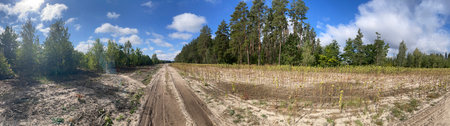 Panoramic view of a rural field with sparse vegetation, a dirt road, and a backdrop of trees under...