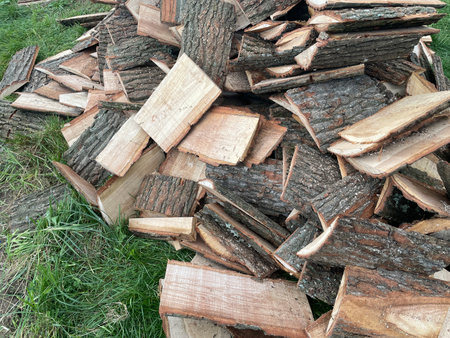 Freshly chopped oak firewood logs stacked outdoors