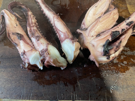 Fresh octopus being prepared and cooked in a home kitchen.の写真素材
