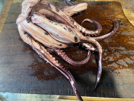 Fresh octopus being prepared and cooked in a home kitchen.の写真素材