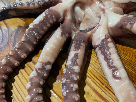 Fresh octopus being prepared and cooked in a home kitchen.の写真素材
