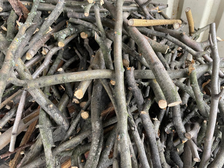 Cut tree branches neatly stacked in a pile outdoors