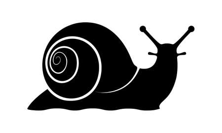 Sign snail. Snail symbol. Isolated black silhouette snail on white background. Icon snail. Vector illustrationのイラスト素材