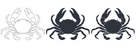 Crabs graphic icons set. Sea crabs contour silhouette and sign isolated on white background. Vector illustrationのイラスト素材