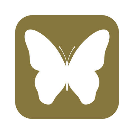 Butterfly graphic symbol. Isolated silhouette in a rectangle on white background. Vector illustrationのイラスト素材