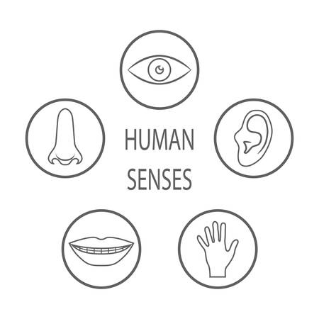 Senses of human perception icons set. Basic human feelings signs. Eyesight, hearing, smell, taste, touch.のイラスト素材