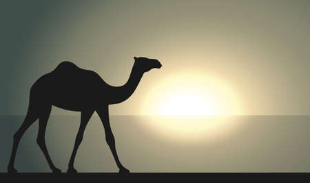 Camel in desert walking forward. Camel graphic sign at sunrise or sunset background. Camel symbol of desert. Vector illustrationのイラスト素材