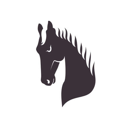 Head horse graphic icon. Horse head sign isolated on white background. Vector illustrationのイラスト素材