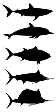 Sea fishes graphic icons set. Shark, dolphin, tuna, marlin, sailfish, symbols isolated on white background. Vector illustrationのイラスト素材
