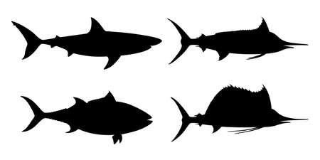 Sea fishes graphic icons set. Shark, tuna, marlin, sailfish, symbols isolated on white background. Vector illustrationのイラスト素材