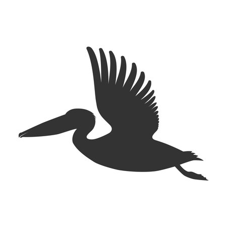 Pelican graphic icon. Flying pelican sign isolated on white background. Vector illustrationのイラスト素材