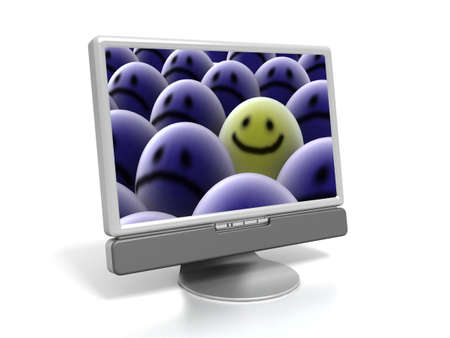 LCD monitor