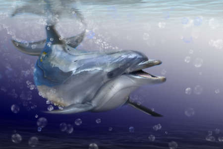 Dolphin in the sea の写真素材