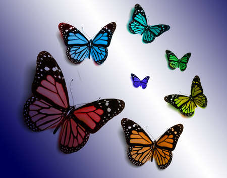 Butterflyの写真素材