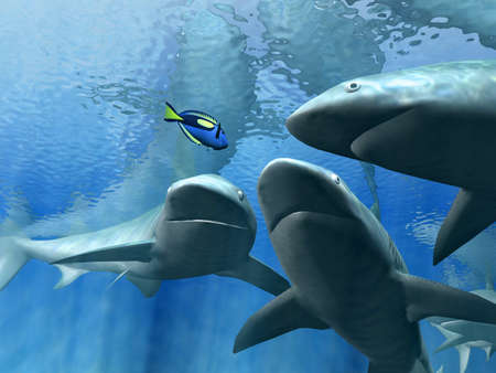 sharks の写真素材