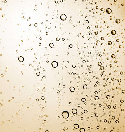 Water Drops
の写真素材