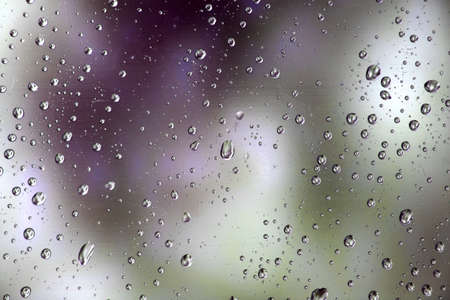 Water Drops
の写真素材