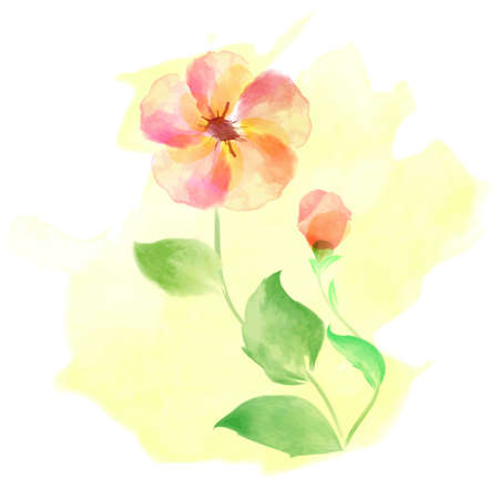 Beautiful flowers watercolor vector illustration for Mother's Day, wedding, birthday, Easter, Valentine's Day. Spring or Summer composition.のイラスト素材