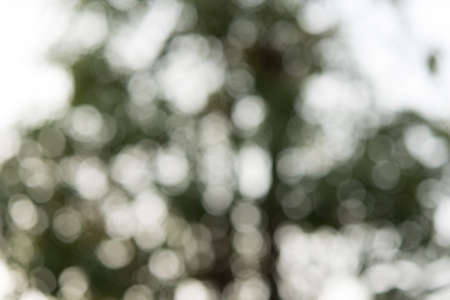 Blur Softの写真素材