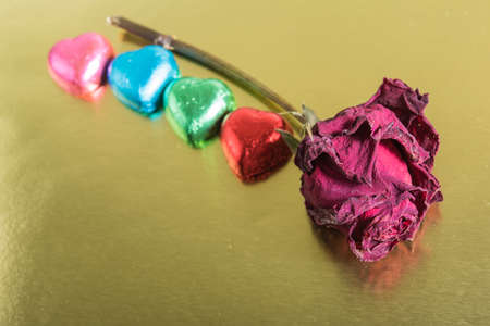 Heartの写真素材