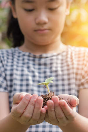 Tree planting growing on soil in girl child's hand for saving world environment, tree care day, environmental protection and ecological education concept for school studentsの写真素材