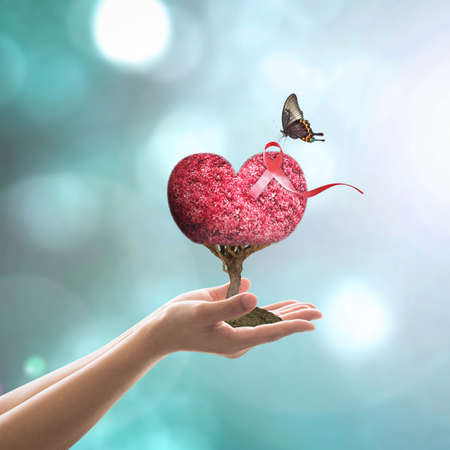 World aids day charity concept with red ribbon for HIV awareness on heart tree in volunteer woman's hands with butterflyの写真素材