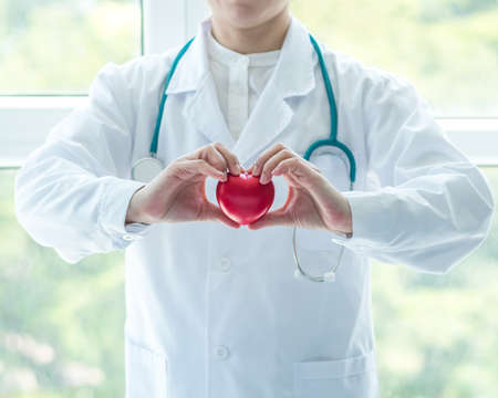 Cardiovascular disease doctor or cardiologist holding red heart in clinic or hospital exam room office for csr professional medical service, cardiology health care and world heart health day conceptの写真素材