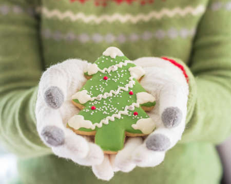 Cookie christmas tree gingerbread  with icing snowflake, winter homemade dessert snack in woman baker's hand in winter gloveの写真素材