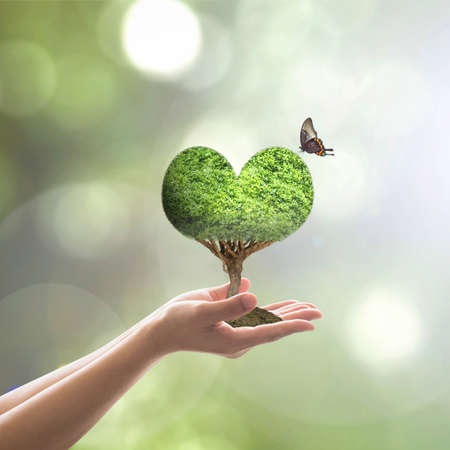 Sustainable world environment day concept with green heart tree planting and growing on volunteer's handsの写真素材