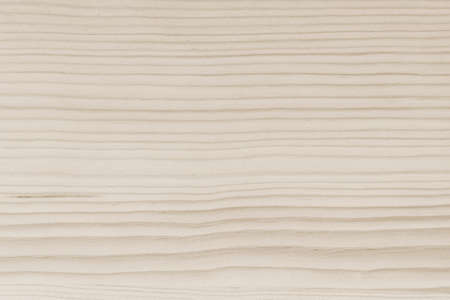 Wood texture background of white beige brown Scandinavian pine wooden woodgrain detail horizontal pattern backdropの写真素材