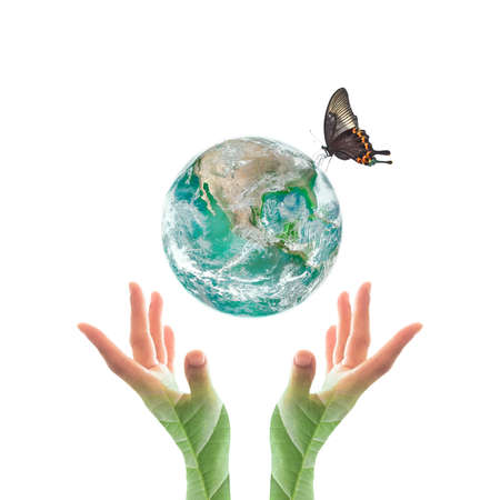 World environment day and ecological friendly concept with green planet on hands with tree leaves:の写真素材