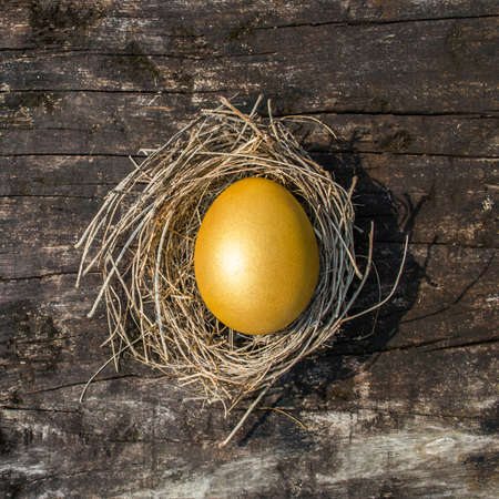 A golden egg opportunity concept of wealth and a chance to be richの写真素材