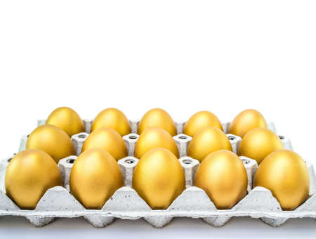 Golden egg opportunity with retirement planning concept of life assuranceの写真素材