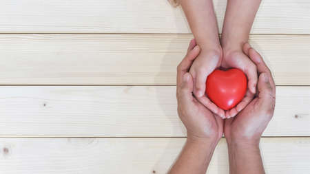 Father's day celebration, I love you dad, parenting concept with daddy and child's hand holding heart young kid's hands supporting red heart, csr charity donation, adoption family health nursing careの写真素材