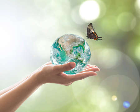World environment day, sustainable ecology and environmental friendly concept with green earth planet on volunteer's woman hands.の写真素材