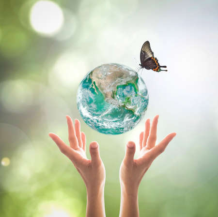 World environment day, sustainable ecology and environmental friendly concept with green earth planet on volunteer's woman hands support.の写真素材