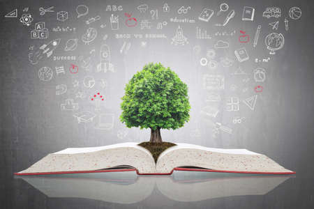 Tree of knowledge growing on open textbook with doodle for educational investment and success conceptの写真素材
