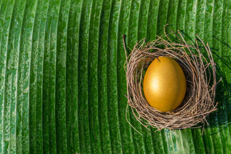 Golden egg opportunity with retirement planning conceptの写真素材